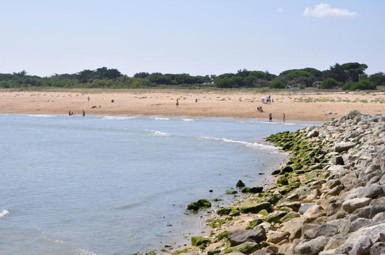 A 80M De La Plage De Plaisance Pour 8 Personnes Saint-Georges-d'Oleron Eksteriør bilde